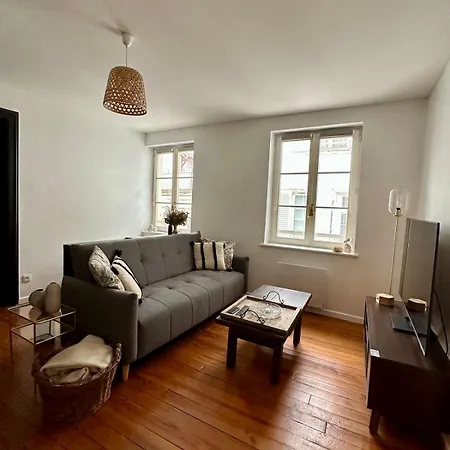 Saint Etienne - Agreable T2 Quartier Cathedrale Apartment