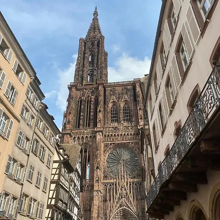 Saint Etienne - Agreable T2 Quartier Cathedrale Apartament *